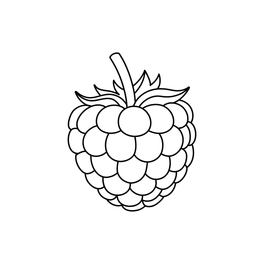 Vakre bringebær fargelegging