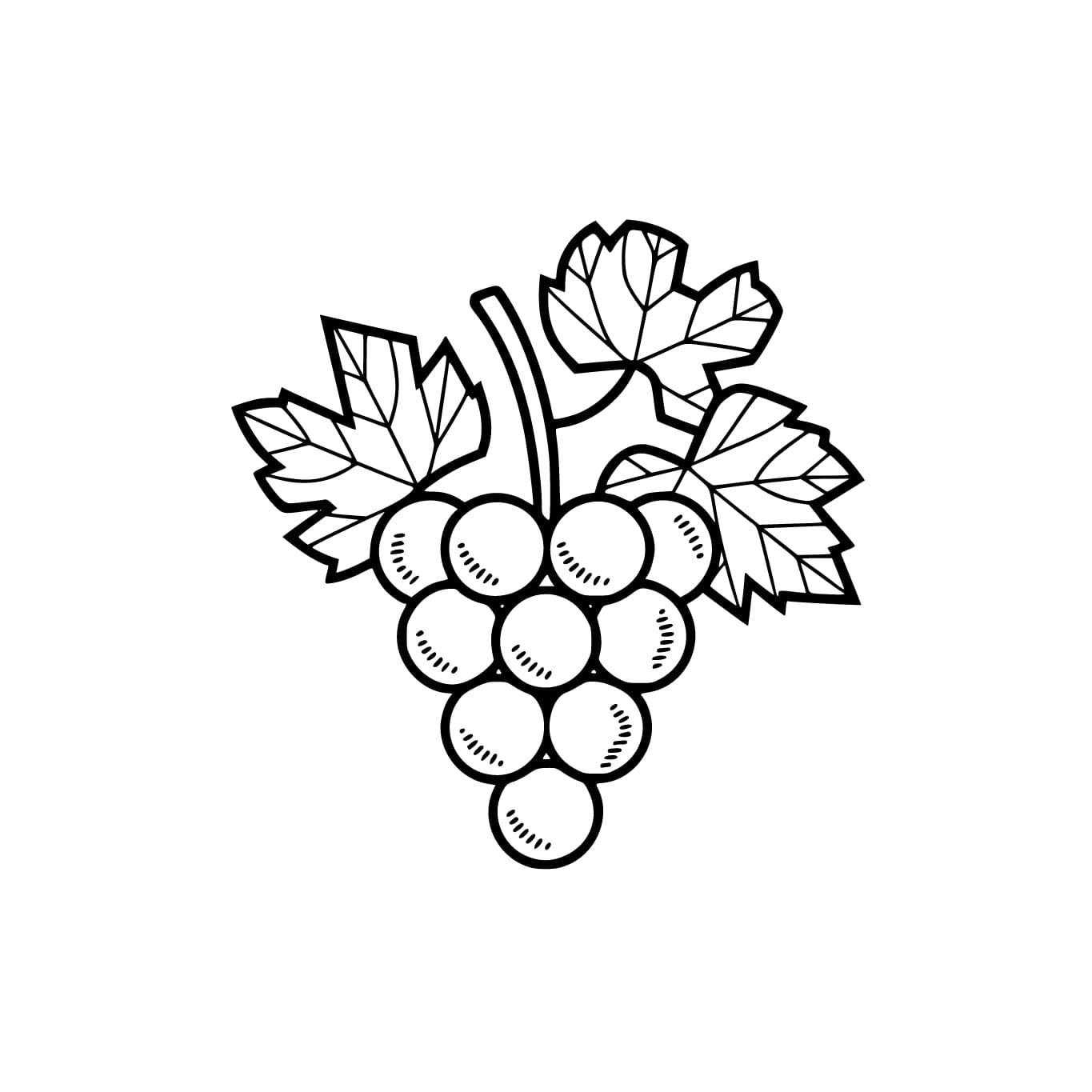 Vanlig Druer fargelegging