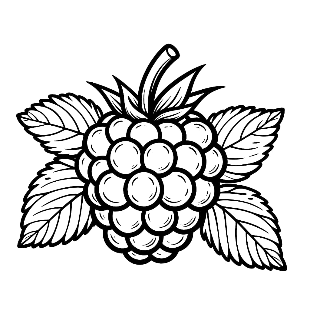 Veldig enkel Bringebær fargelegging