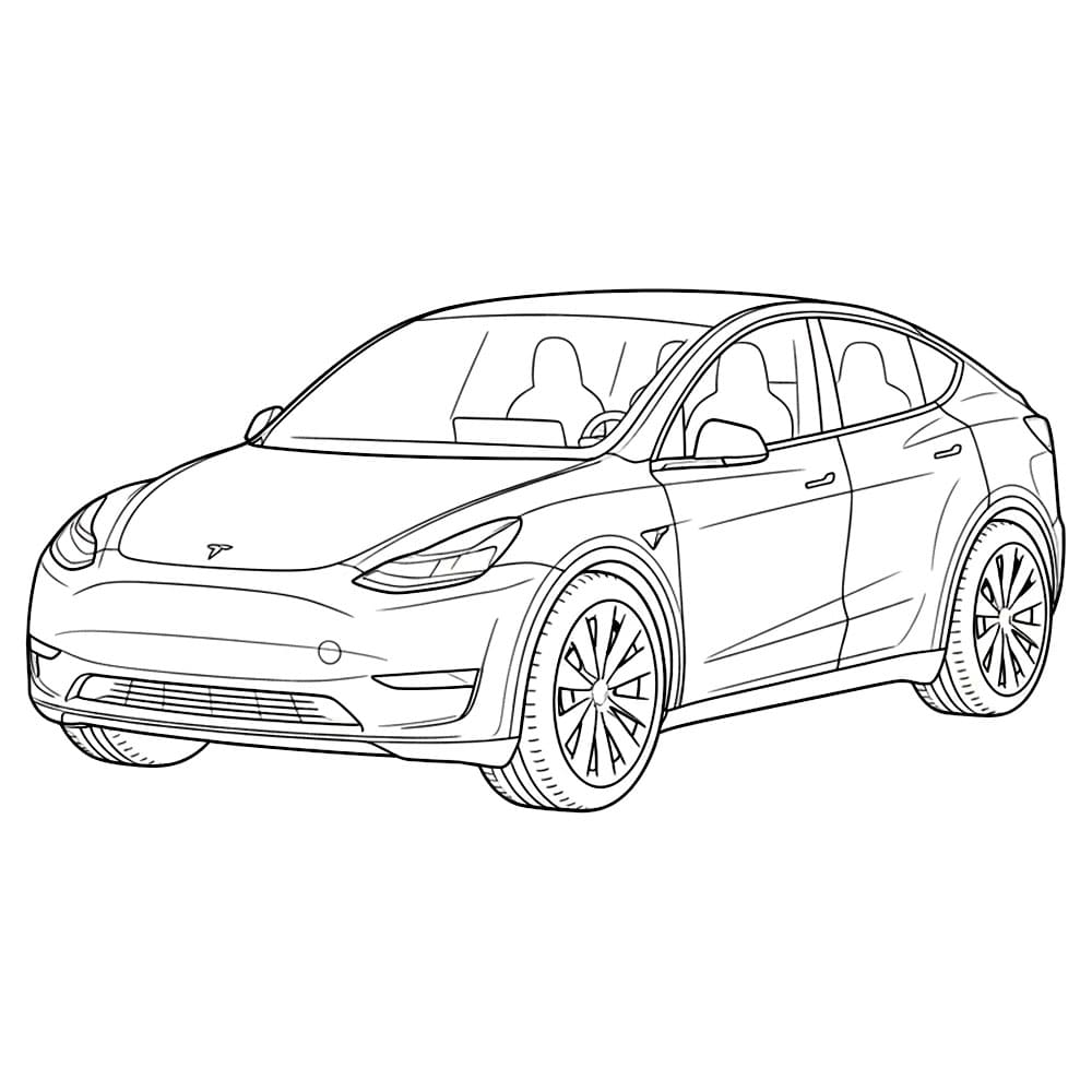 2026 Tesla Model Y fargelegging