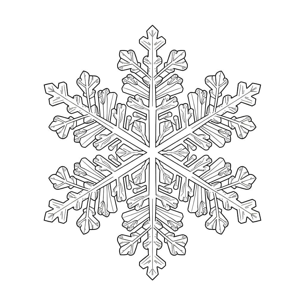 Autentisk Snøfnugg fargelegging