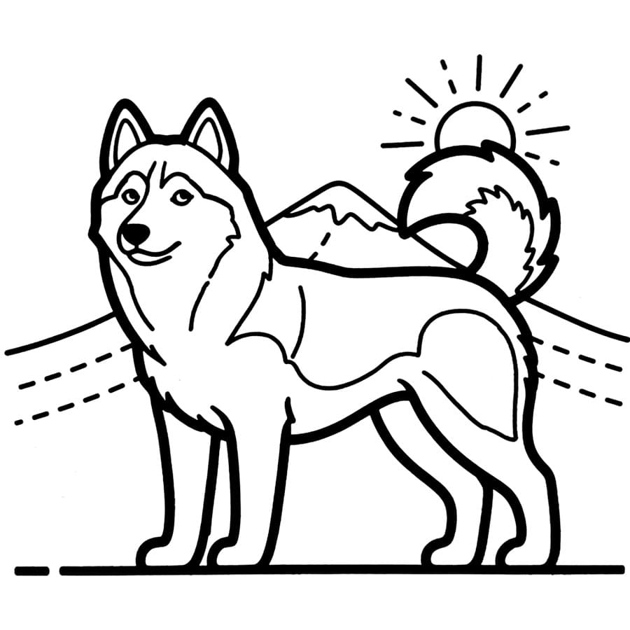 Enkel husky på bakken fargelegging