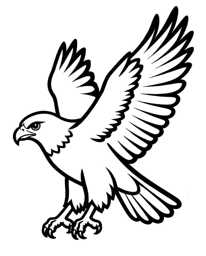 Fantastisk hauk fargelegging
