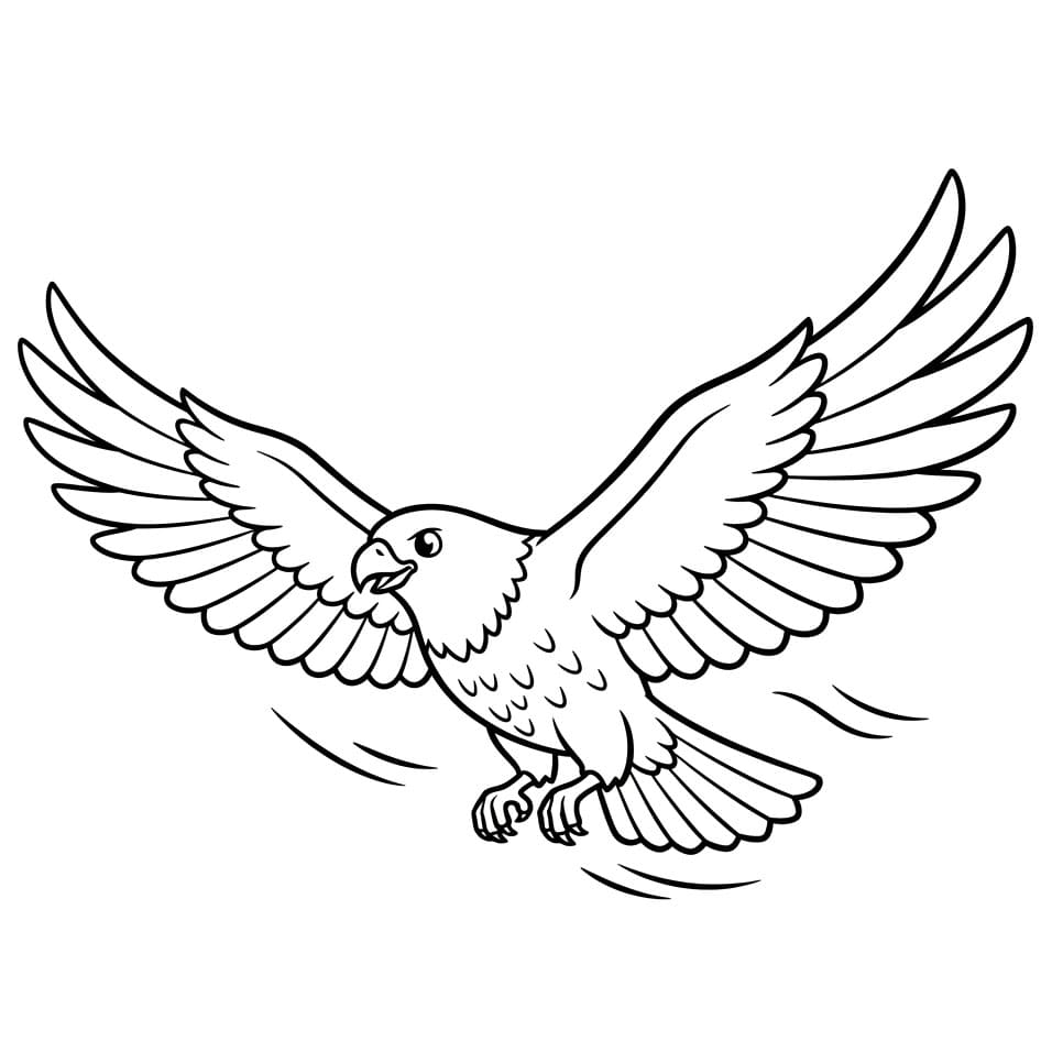 Flygende hauk fargelegging