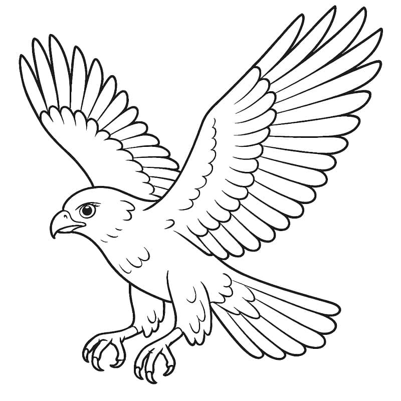 Flyvende hauk gratis fargelegging