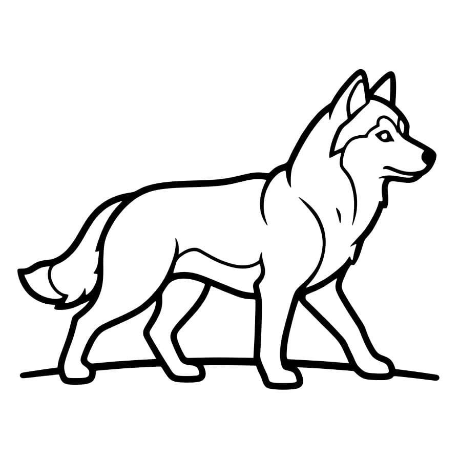 Gående husky fargelegging