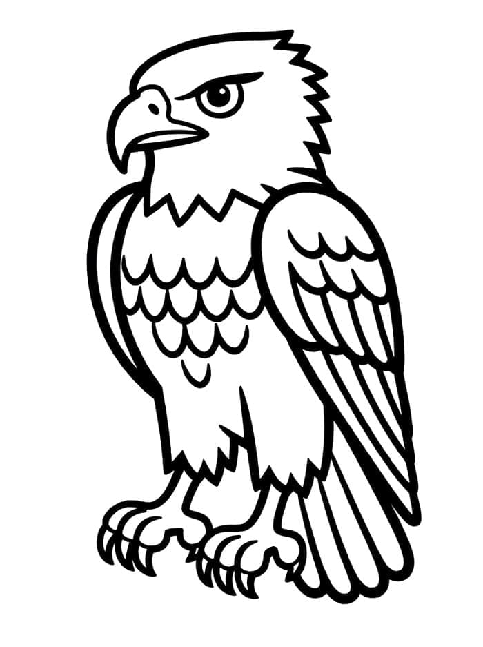 Hauk er kul fargelegging