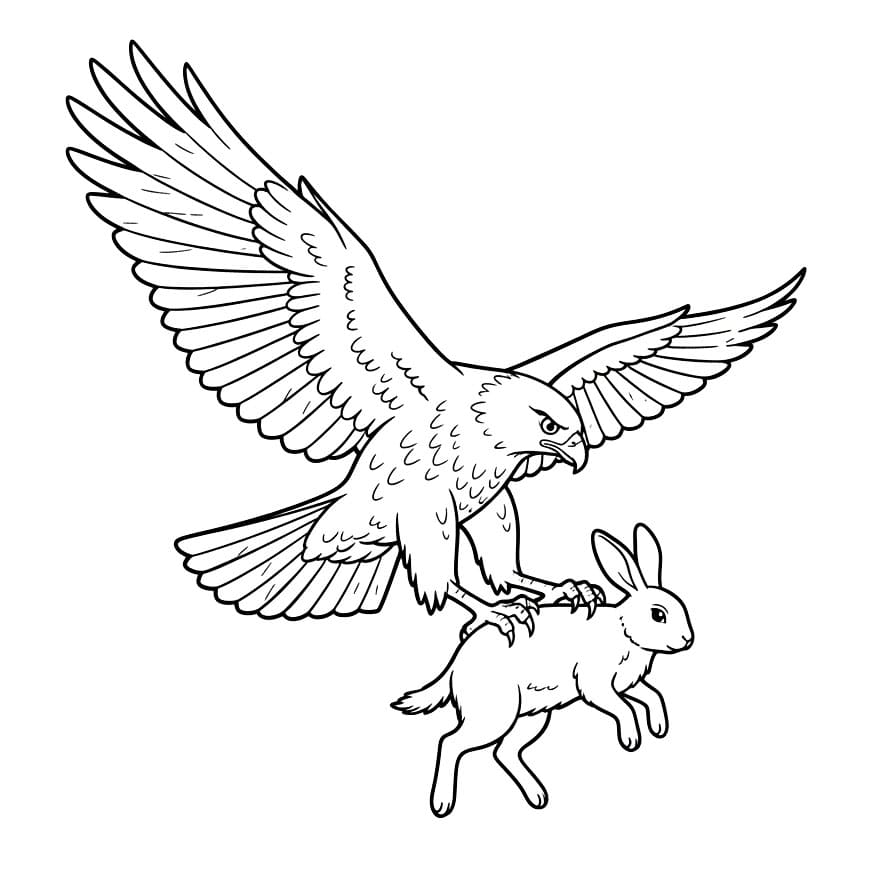 Hauk fanger bytte fargelegging