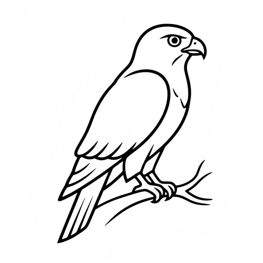 Hauk fra siden fargelegging