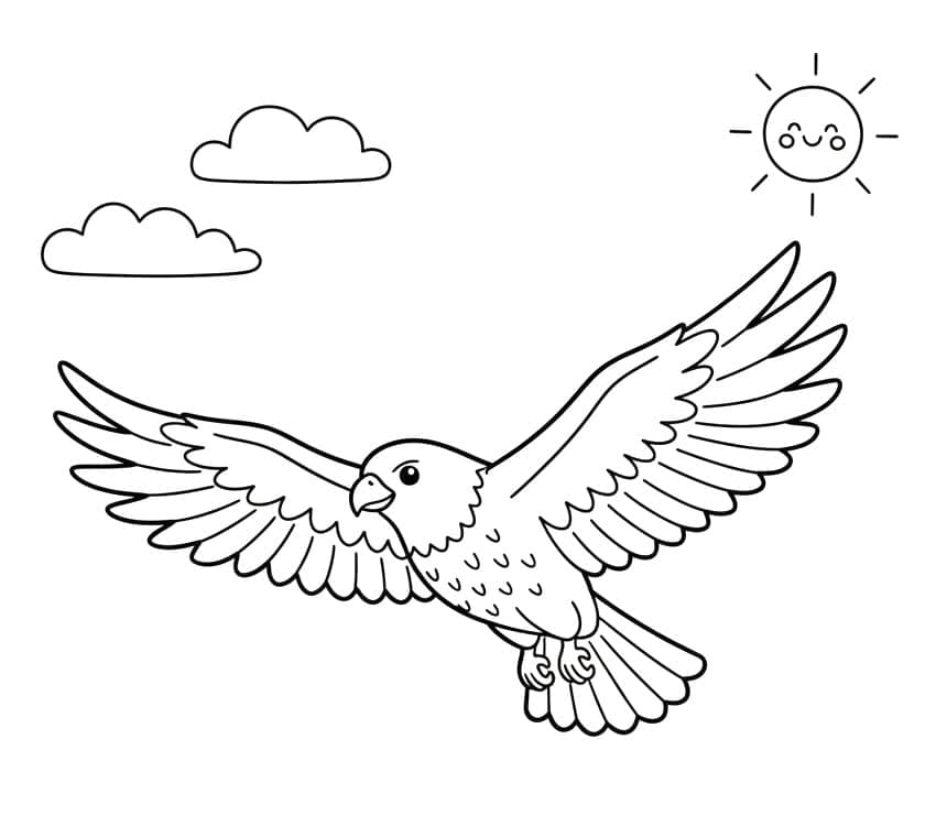 Hauk i himmelen fargelegging