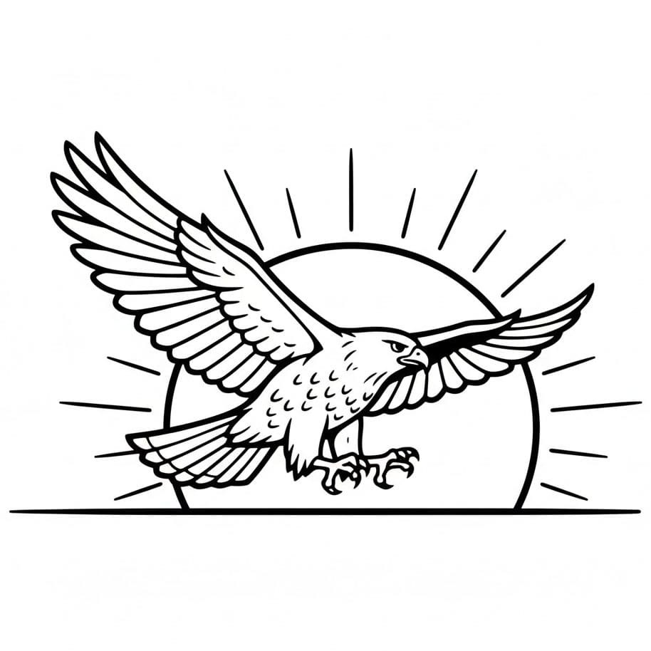 Hauk i soloppgang fargelegging