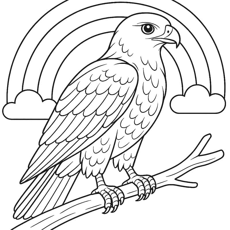 Hauk og regnbue fargelegging