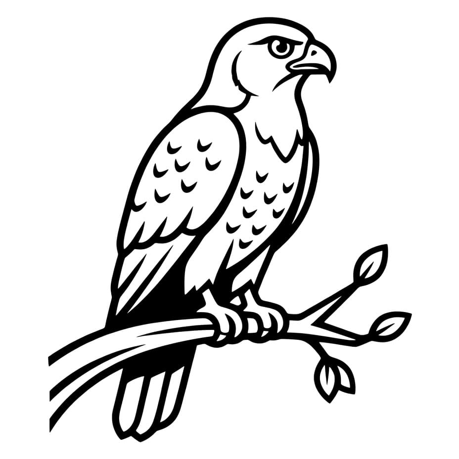 Hauk på en gren fargelegging