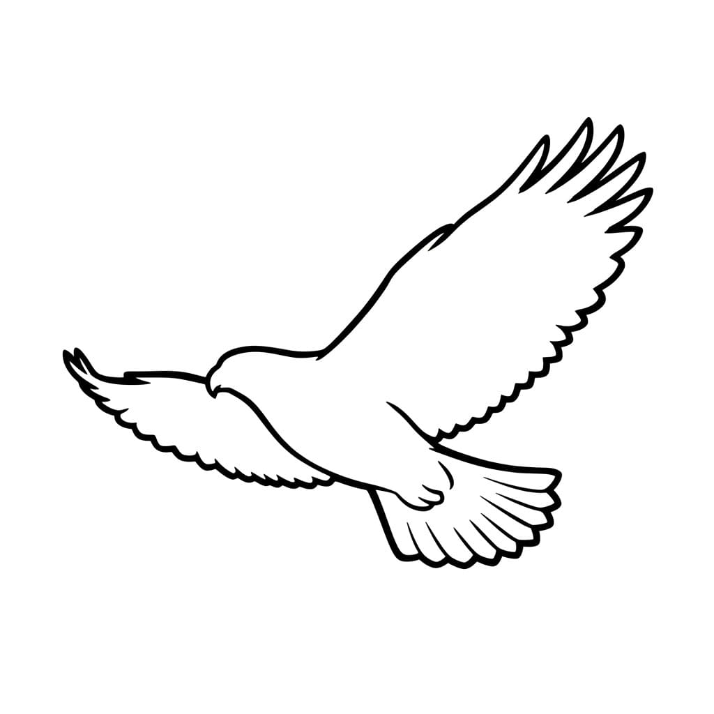 Hauk silhuett fargelegging