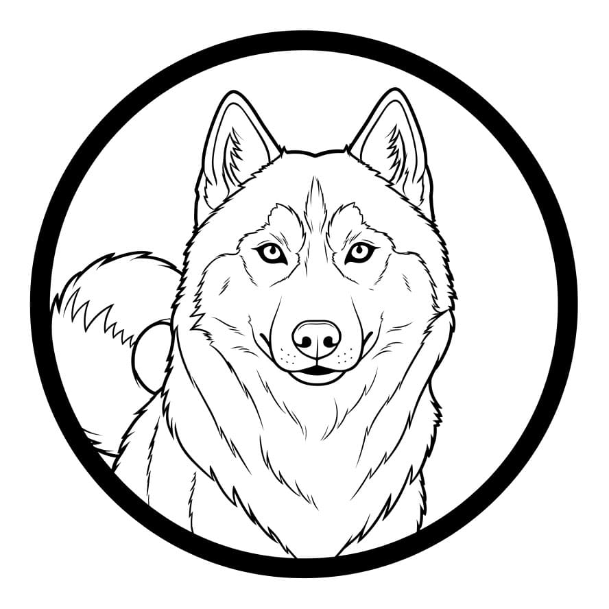 Husky i en sirkelramme fargelegging