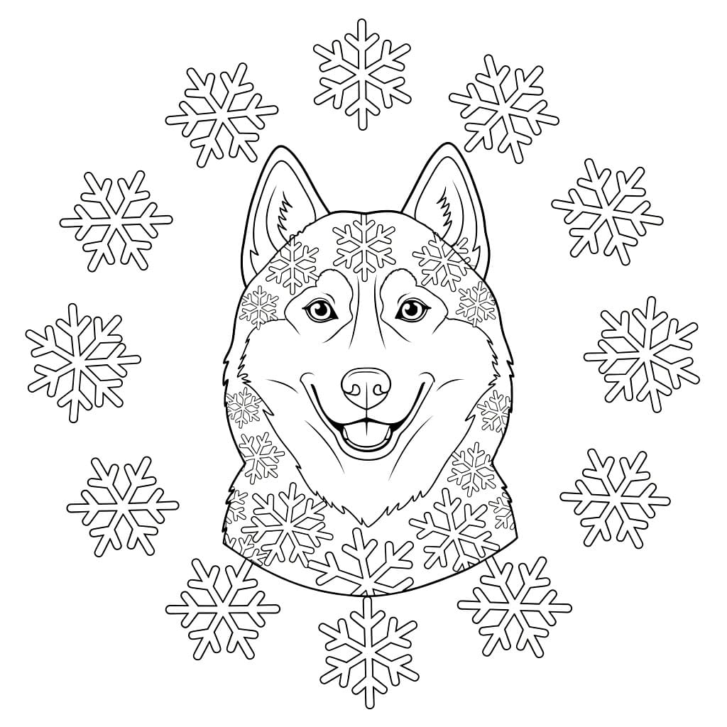 Husky med snøflak fargelegging