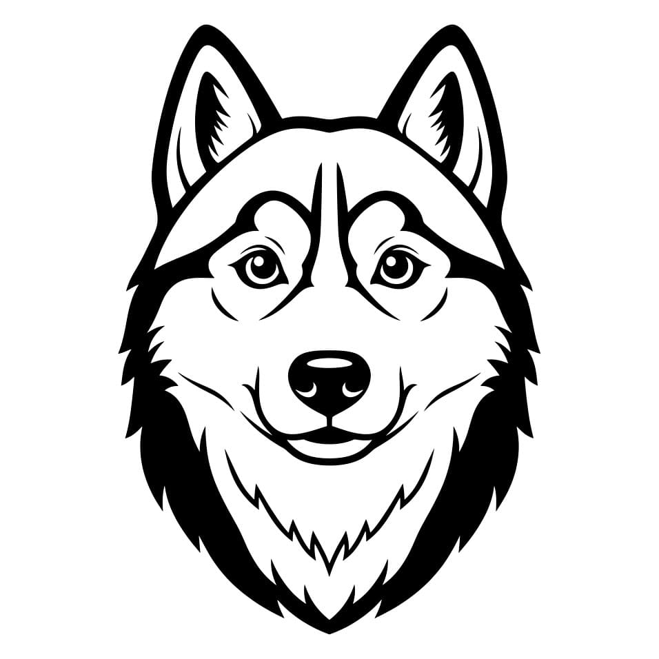 Husky vendt forfra fargelegging