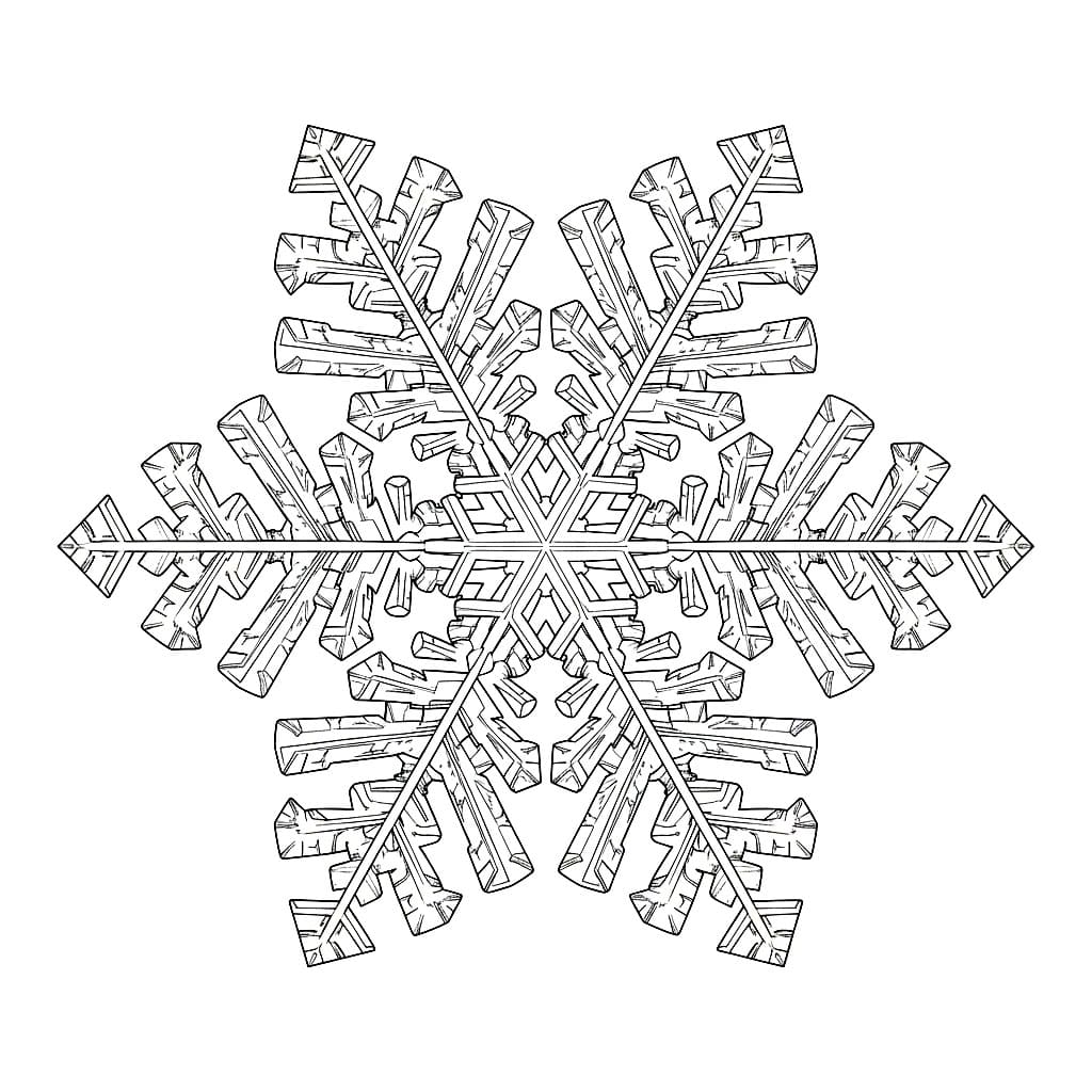 Makro Snøfnugg fargelegging