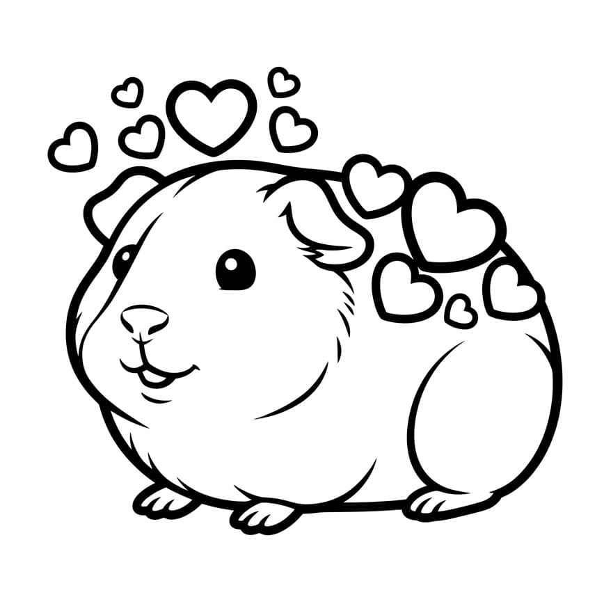 Marsvin fargelegging