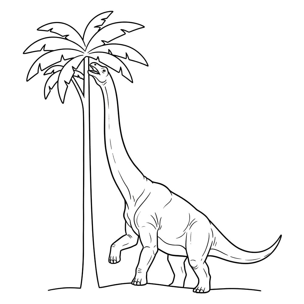 Brachiosaurus Beiter på tre fargelegging