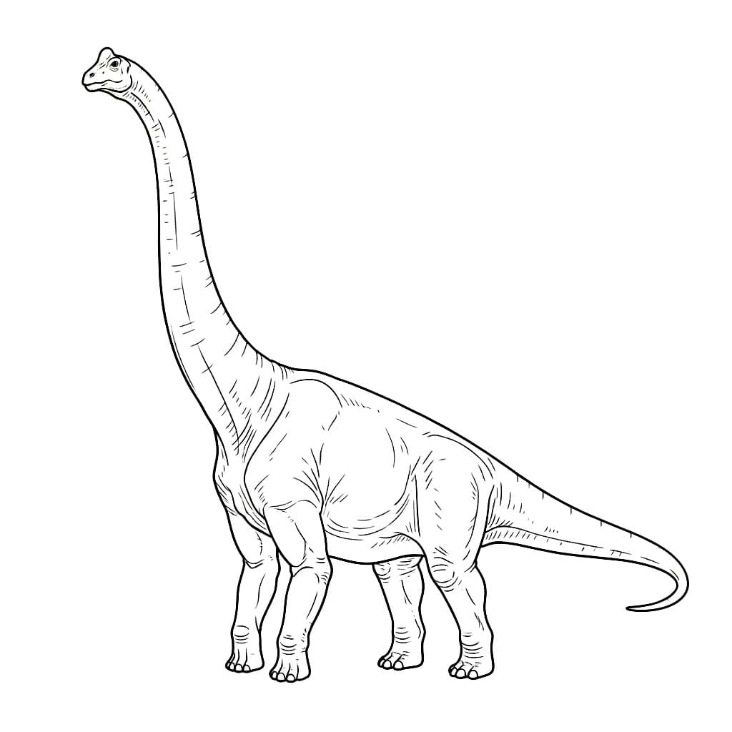 Enkel realistisk Brachiosaurus fargelegging