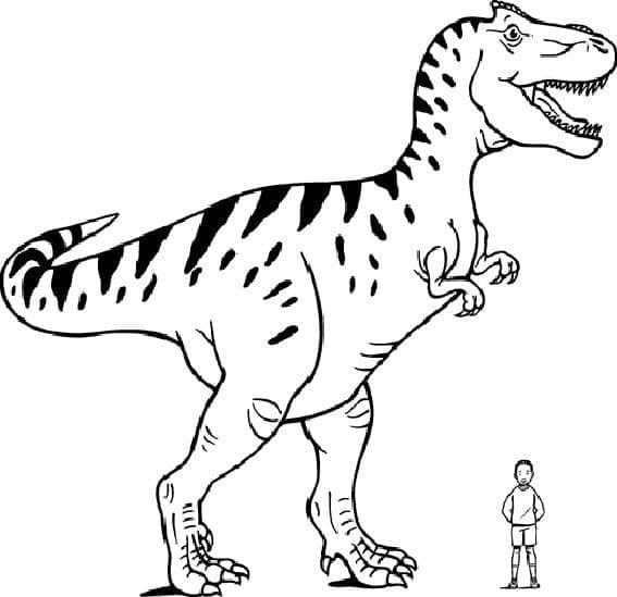Kjempe Allosaurus fargelegging