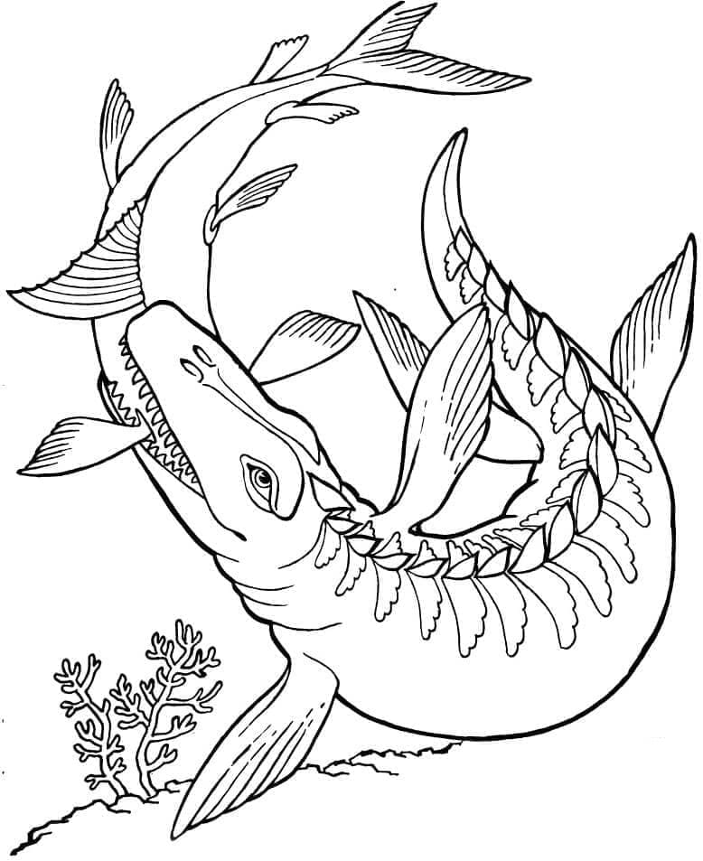 Kjempe Mosasaurus fargelegging