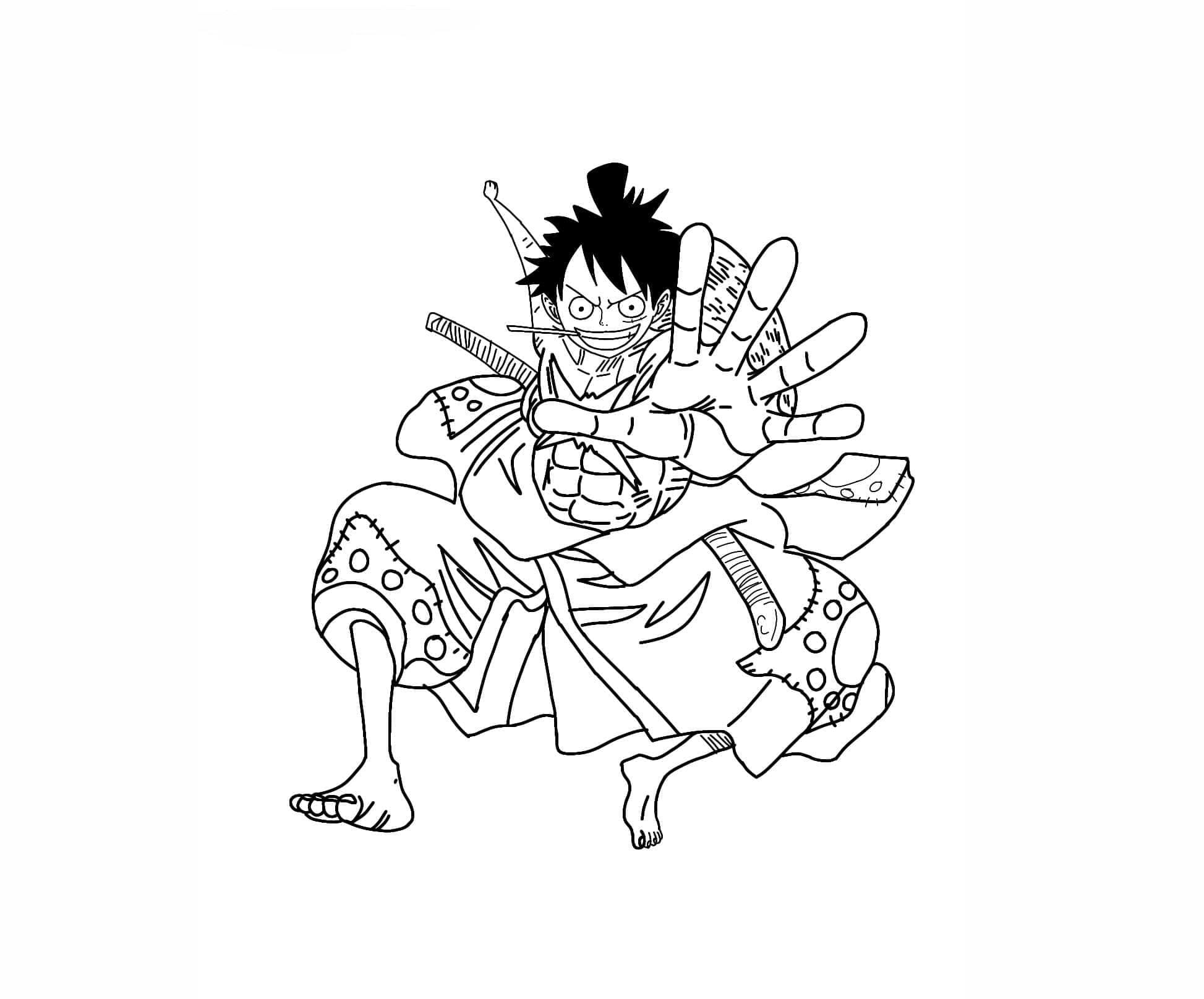Monkey D Luffy fargelegging