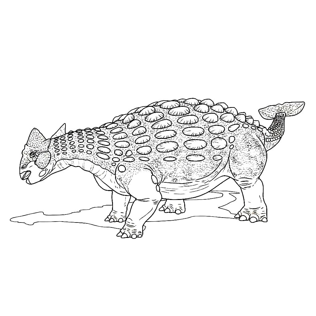 Rolig Ankylosaurus fargelegging