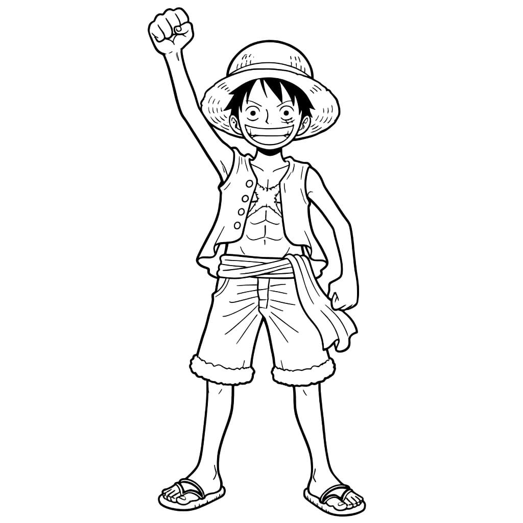 Luffy Fargelegging