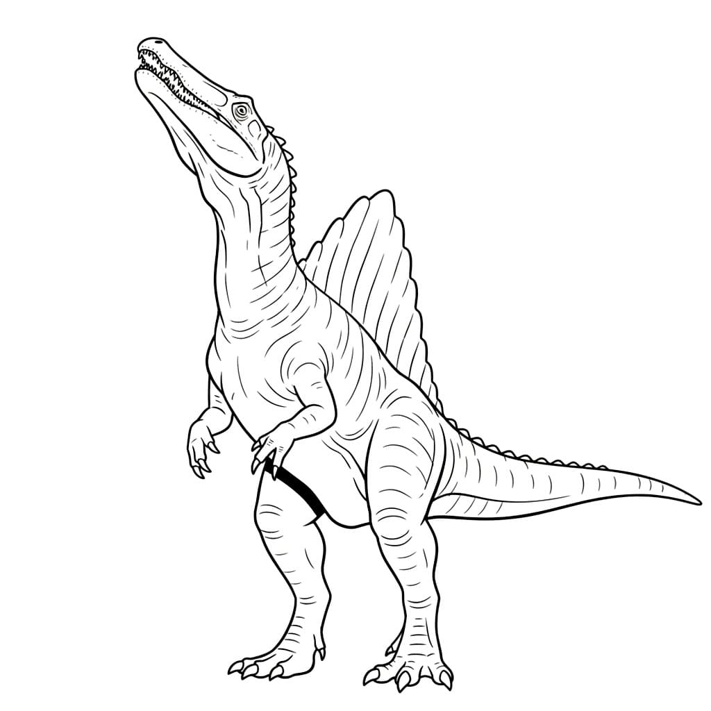 Spinosaurus Løfter hodet våkent fargelegging