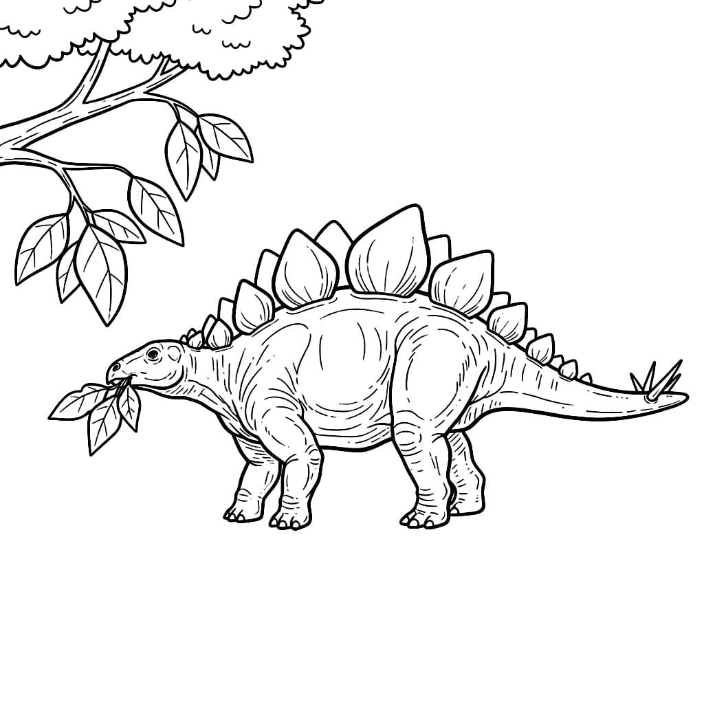 Stegosaurus som spiser blader fargelegging