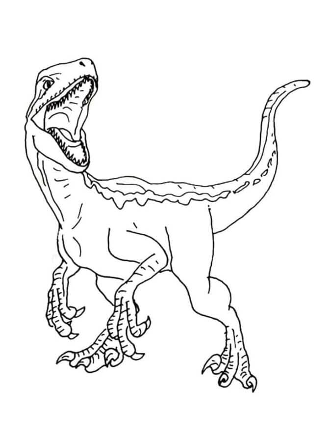 Velociraptor brøl fargelegging