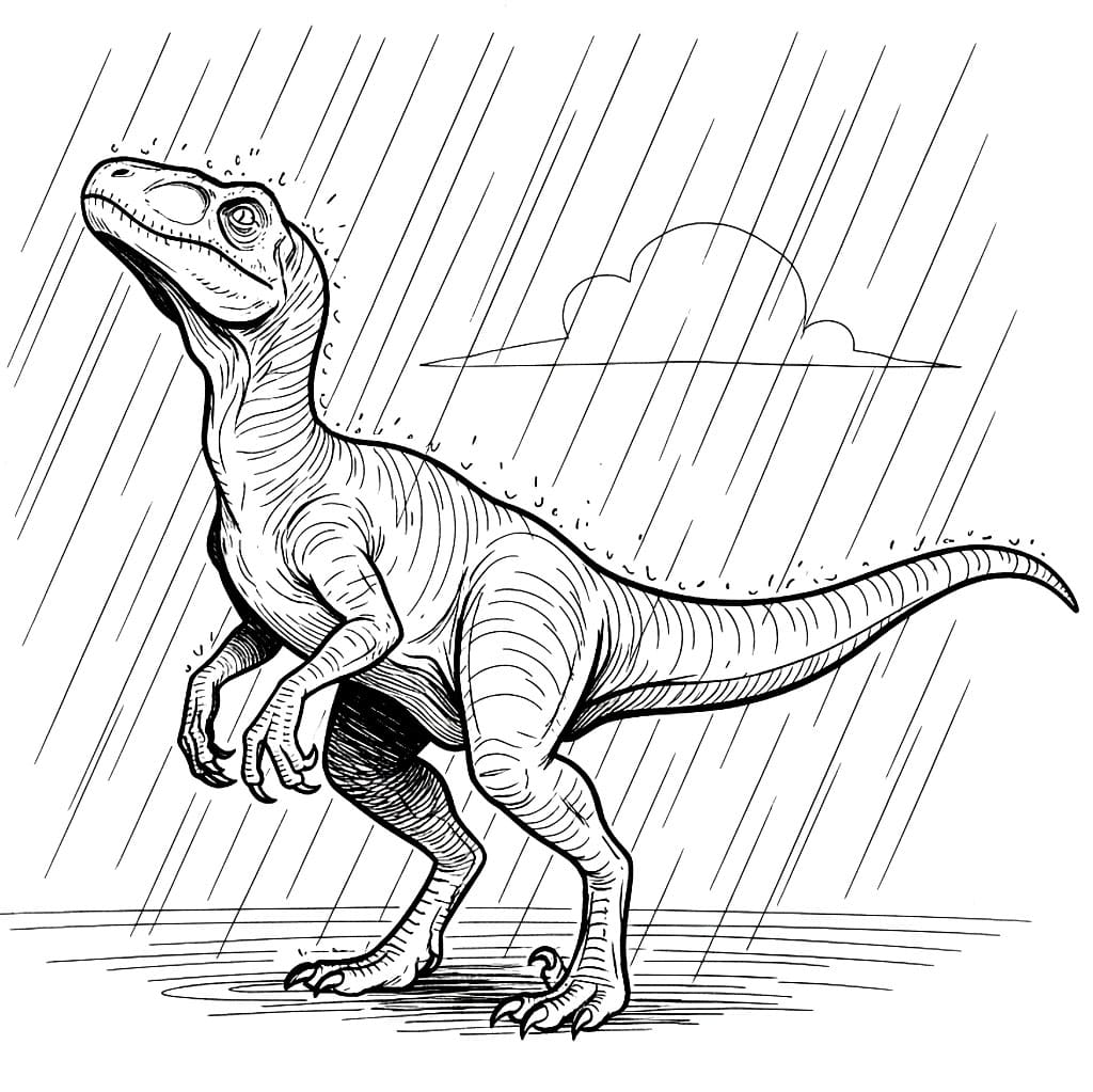 Velociraptor i regn fargelegging