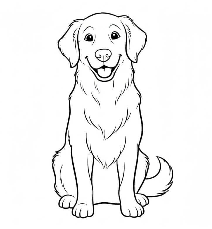 En glad Golden Retriever fargelegging