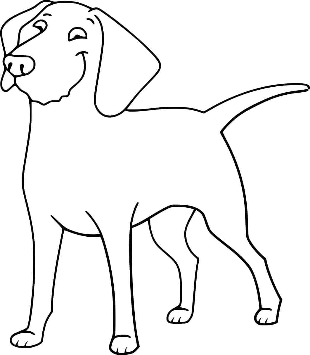 En morsom Golden Retriever fargelegging