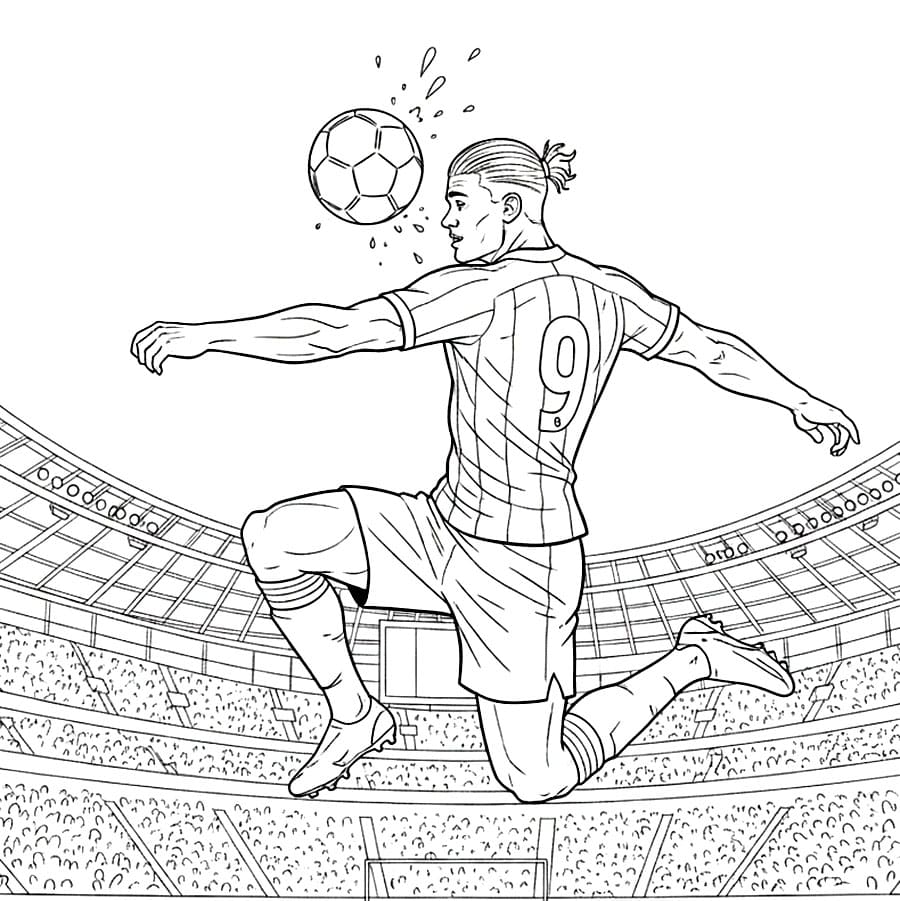 Erling Haalands Hekkeløp fargelegging