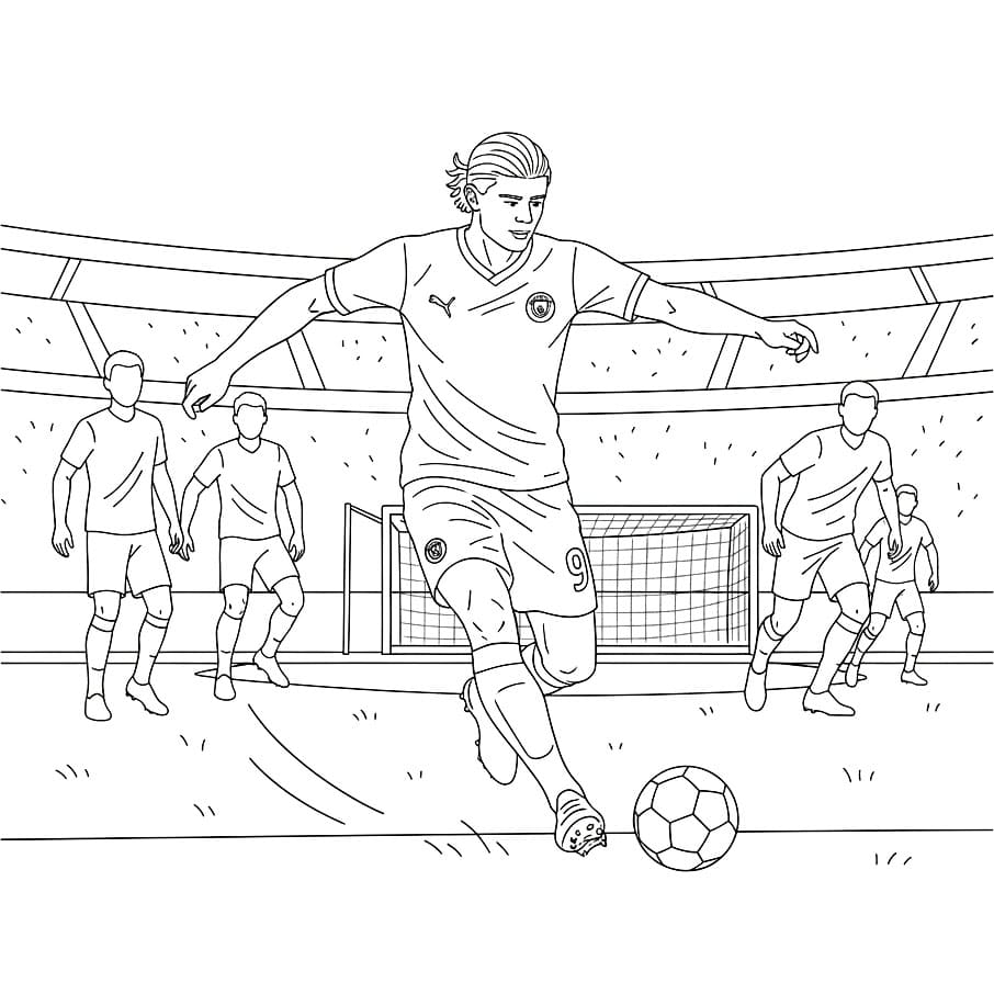 Erling Haalands Pass fargelegging