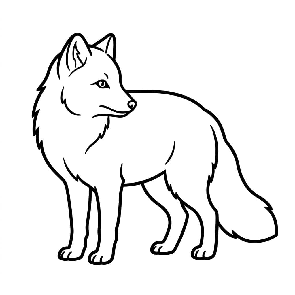 Fjellrev ser bak fargelegging