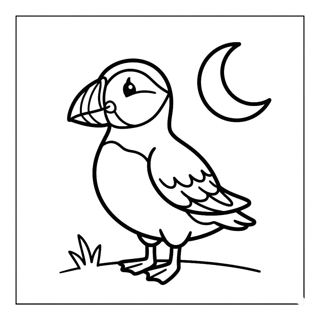 Lundefugl Med Måne fargelegging