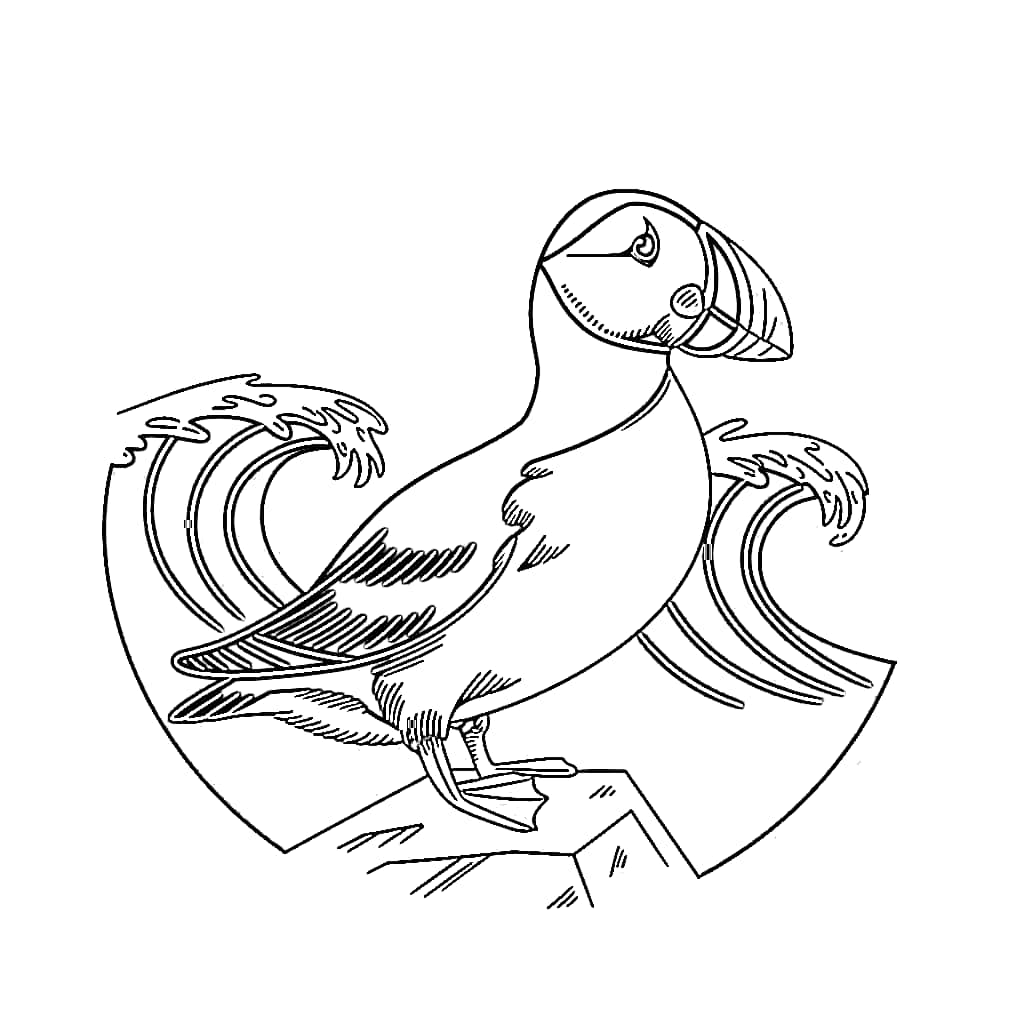 Lundefugl og vink fargelegging