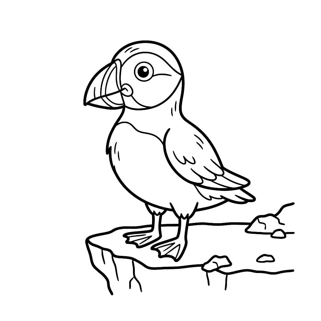 Lundefugl fargelegging