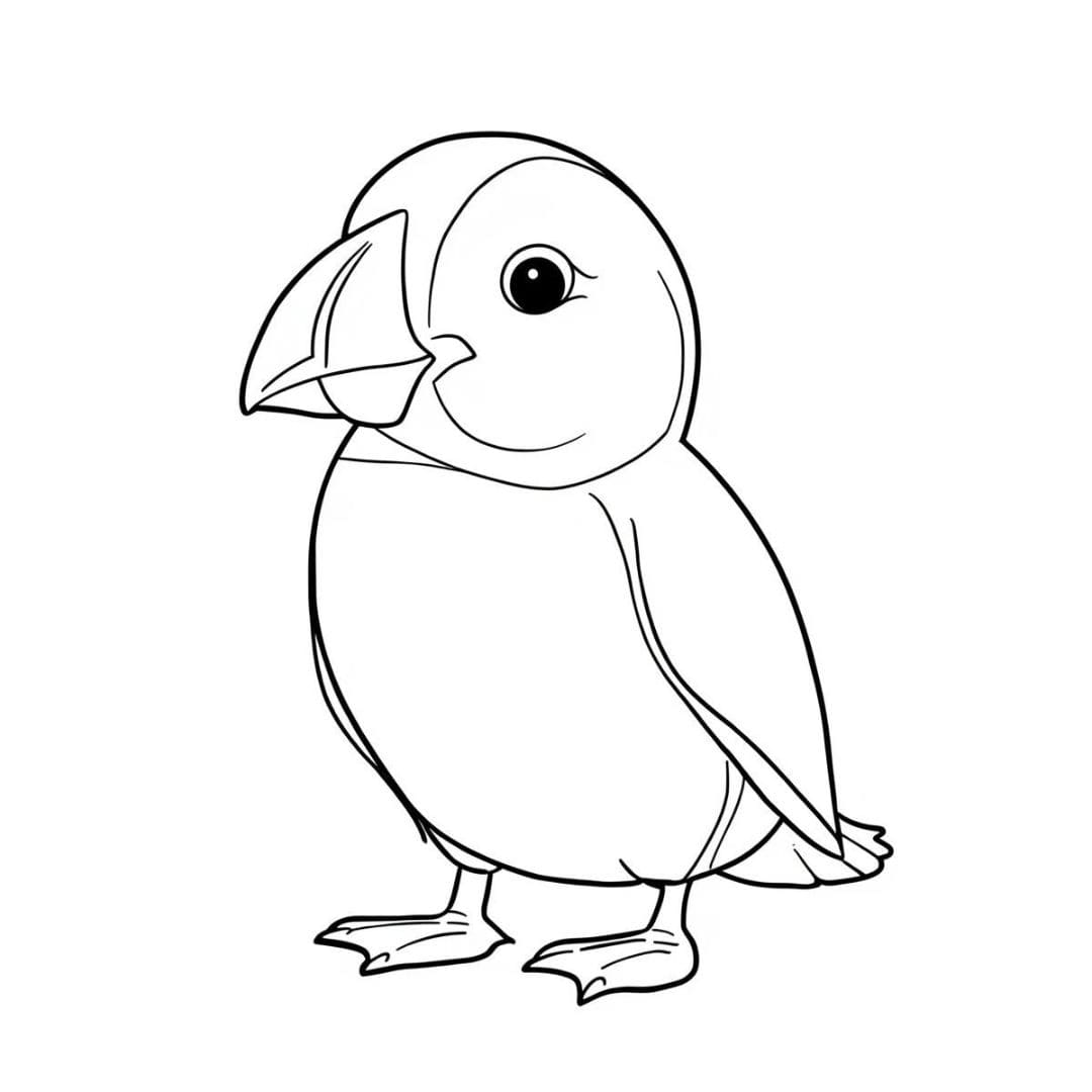 Lundefuglunge fargelegging