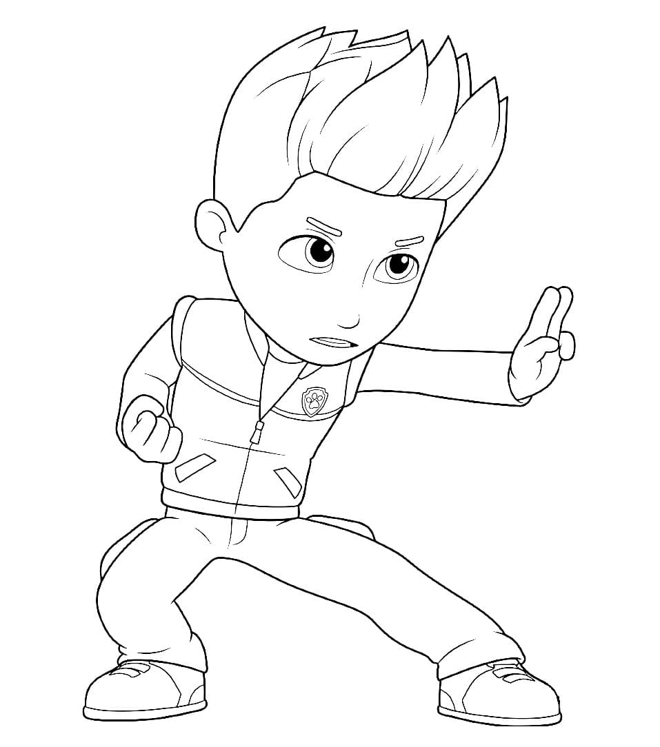 Ryder trening fargelegging