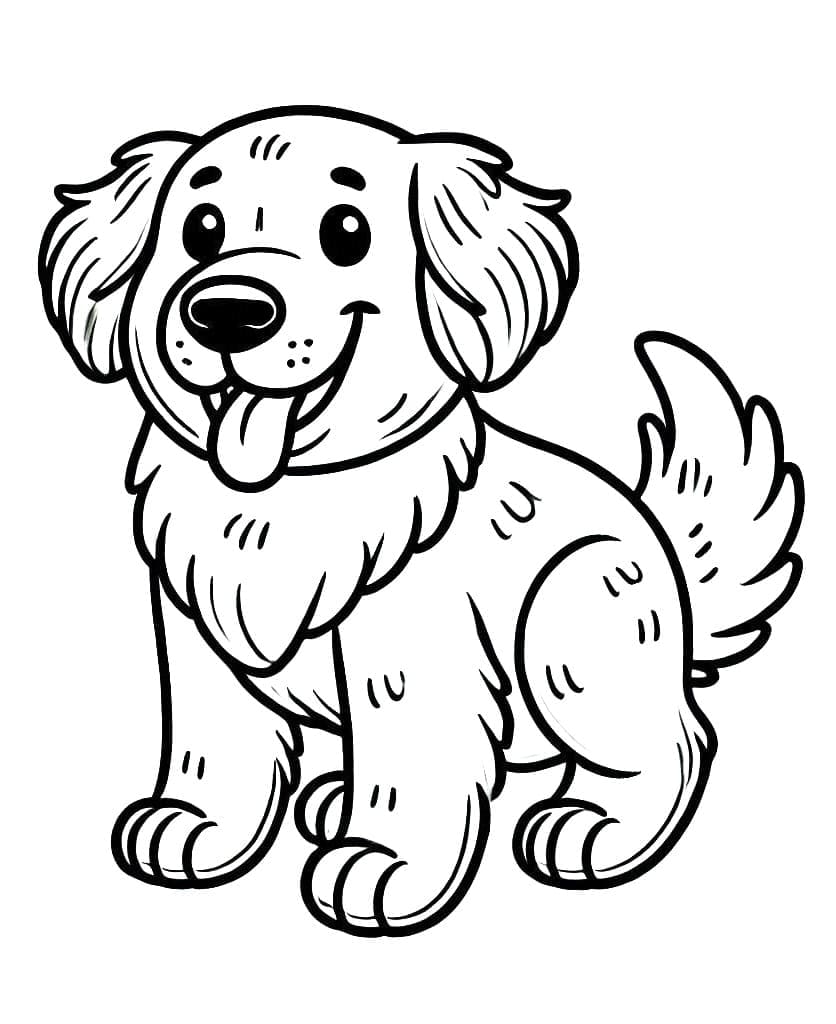 Smilende Golden Retriever fargelegging