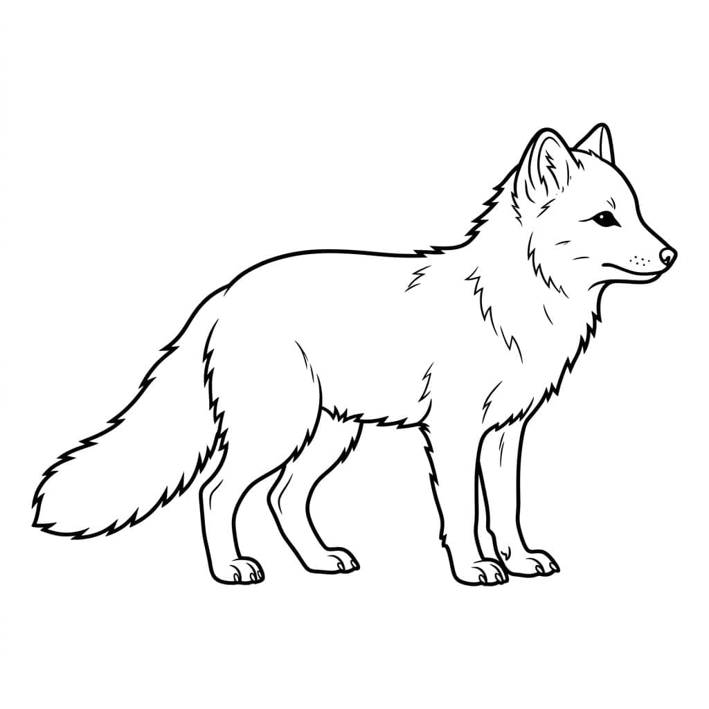 Stående Fjellrev fargelegging