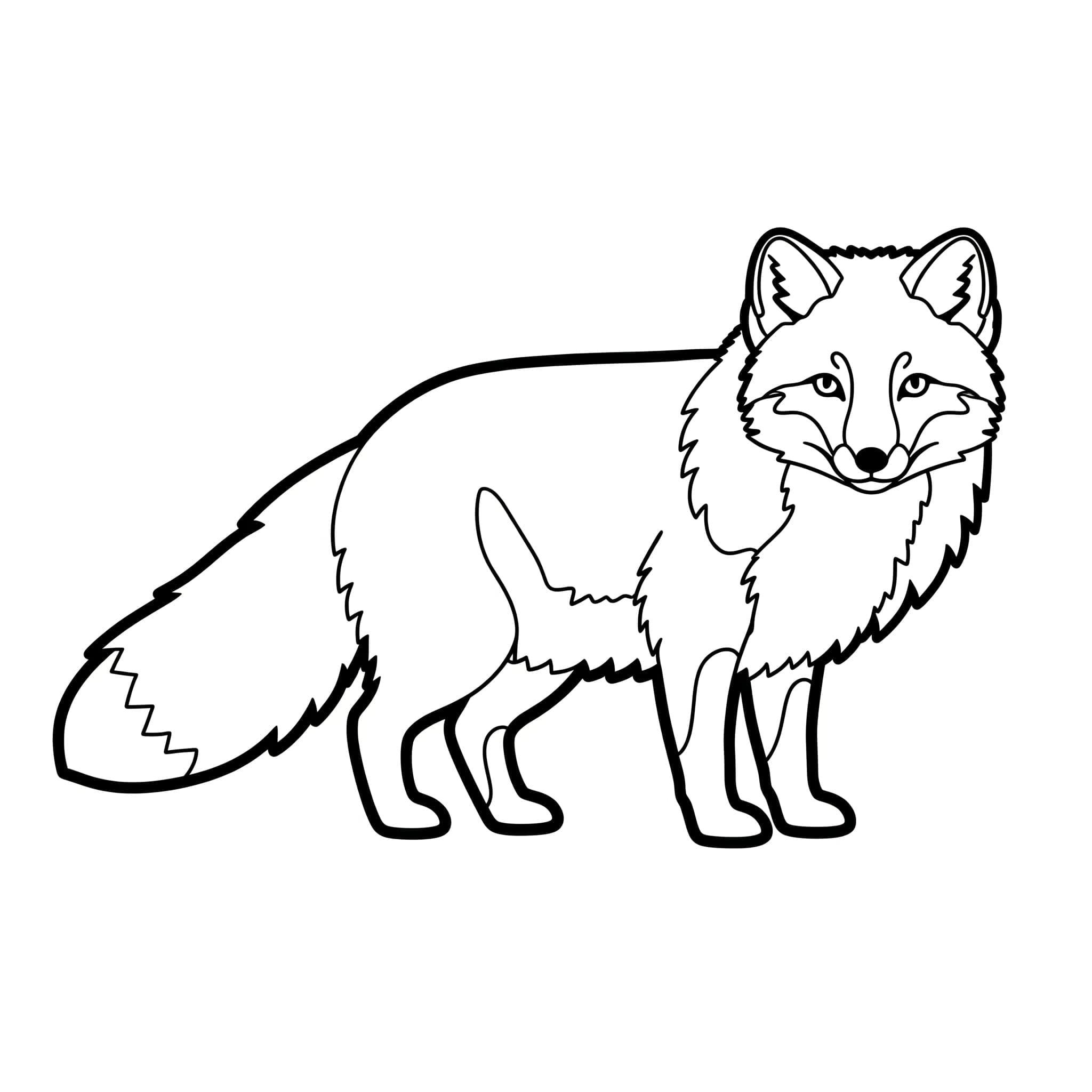 Stolt fjellrev fargelegging