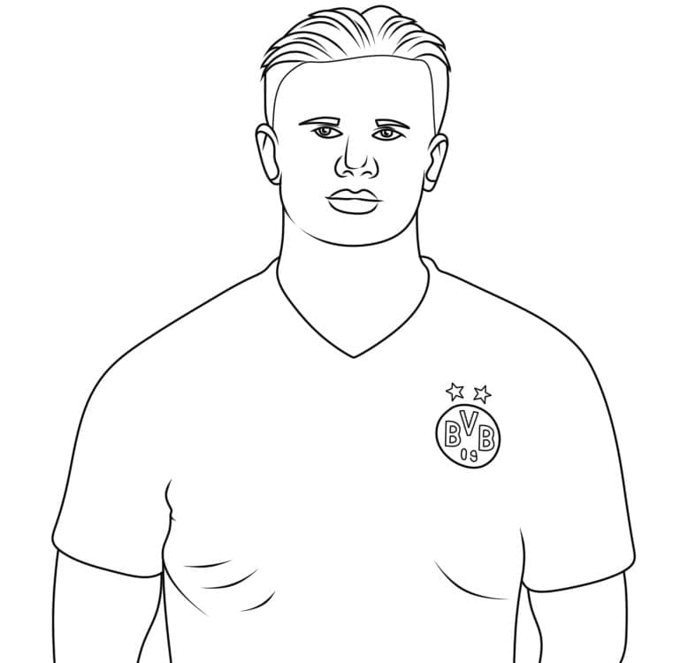 Erling Haaland Fargelegging