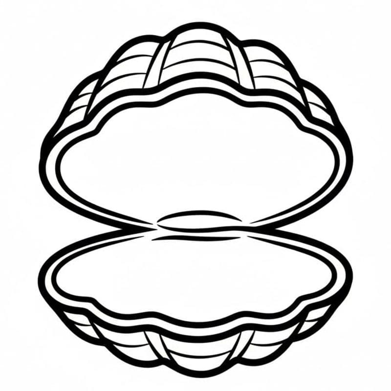 Åpning av skallet fargelegging