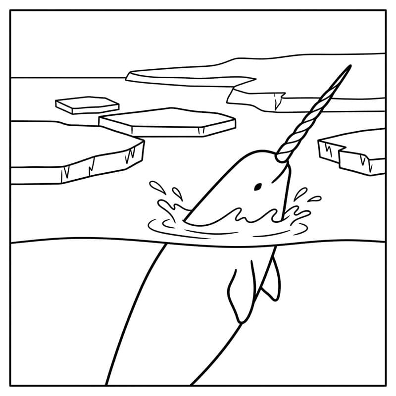 Arktisk narhval fargelegging